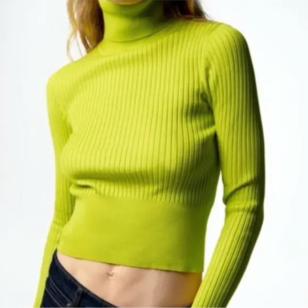 Zara Ribbed Knit Fitted Turtleneck